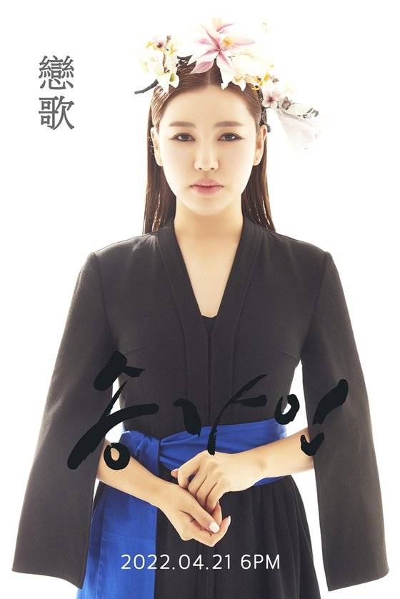 포켓돌 스튜디오 제공