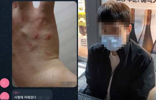 학대범 B씨 텔레그램 방·전국길고양이보호단체연합(전길연) 제공
