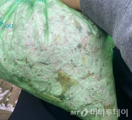 많이도 모였다. 그러나 더 많이 남아 있었다./사진=남형도 기자