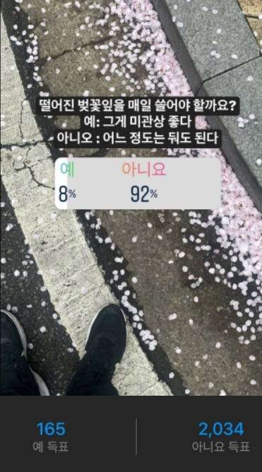기자의 SNS(인스타그램)를 통해 독자 2200여명을 대상으로 조사한 결과./사진=남형도 기자