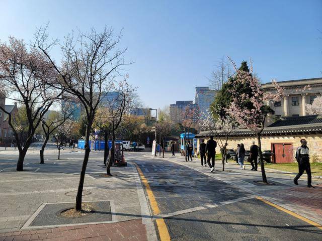 지난 8일 서울 중구 정동로터리 부근에 봄 기운을 만끽하기 위한 시민들의 발걸음이 이어지고 있다. 김재현 기자