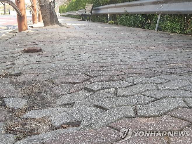 울퉁불퉁 보행로 자료사진 [촬영 차근호·재판매 및 DB 금지]