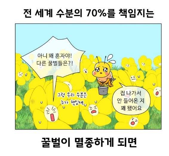 기후 변화로 생물다양성이 줄어들 때의 위험성을 그린 에피소드. 꿀벌이 멸종하면 작물 생산량이 급감하고, 세계 5대 식량 수입국인 우리나라도 타격을 입을 수 있다는 내용이 담겼다. 네이버웹툰 ＜기후변화 그림일기＞ 은꼼지 작가
