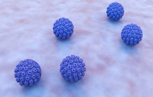 곤지름 일으키는 HPVㅣ출처: 게티이미지 뱅크