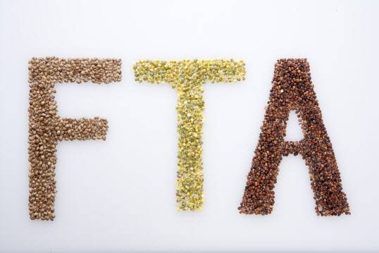 (이미지=이미지투데이)