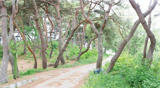 웅포 곰개나루길. 전북도 제공