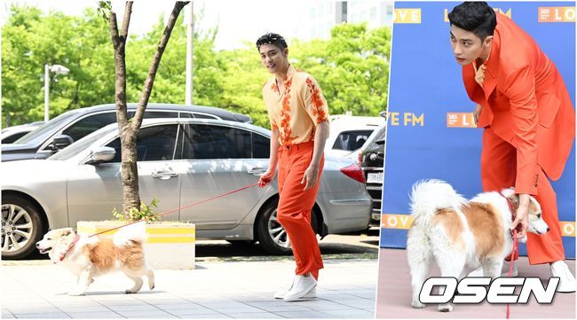 On the afternoon of the afternoon, SBS new drama We Are From Today was presented at SBS Mok-dong, Yangcheon-gu, Seoul.Actor Sung Hoon, who was going to work to attend the production presentation from today, attracted the attention of everyone in the broadcasting station with the appearance of his dog Yang Hee.In 2019, Sung-hoon unveiled the adoption process of Yang-hee, an organic dog, through the MBC entertainment program I Live Alone. Yang-hee and Jung, who were in temporary protection, decided to adopt.Sung-hoon, who was in the process of going to work on the day, took a picture of Yang Hee and a couple at the request of the reporters after taking a personal photo.Yang Hee, who was in front of the photo wall, sat calmly in front of many reporters according to Sung Hoons Sit down instructions and showed deep sympathy with Sung Hoon.When the reporters called their names, they turned to the Camera and laughed at the people who were on the station with more entertainer-like cuteness than entertainers.