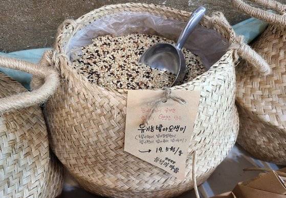 책방 구석에서 팔고 있는 쌀. 1g 단위로 판다. 책과 쌀 모두 우리의 양식이다.