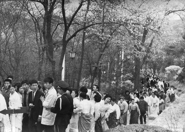 1966년 6월 21일 청와대를 찾은 상춘객들 줄지어 경내를 둘러보고 있다. 한국일보 자료사진