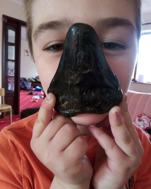 영국의 6세 소년이 서퍽주 해변에서 발견한 300만년 전 메갈로돈 이빨 화석