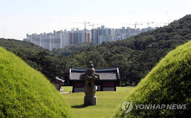 김포 장릉 사이로 보이는 신축 아파트 단지 [연합뉴스 자료사진]