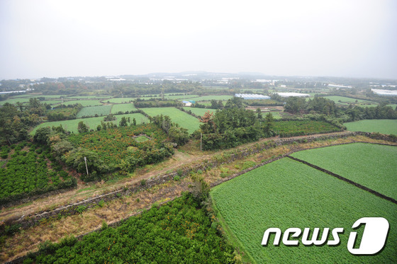 제주 제2공항 부지로 선정된 제주 서귀포시 성산읍 신산리 전경. 2015.11.10/뉴스1 © News1 이석형 기자