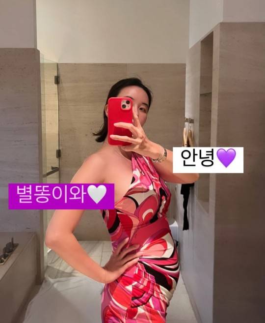 장미인애