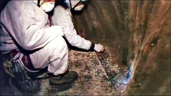 홍콩 노아방주선교회 탐사대가 2010년 아라라트산에서 노아의 방주가 발견됐다며 공개한 영상으로 탐사대가 방주 속에 있던 병아리콩 화석을 채집하고 있다. 영상 캡처