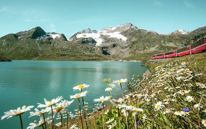 친환경 기차가 봄꽃과 호수옆으로 질주하고 있다.