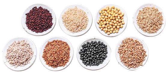 농장에서 수확한 8가지 곡물과 14가지 푸새 등 26가지 재료를 넣은 통곡물 선식. 박종근 기자