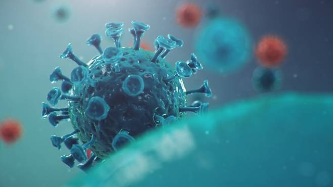 독일 연구진이 코로나19 바이러스 증식에 필수적인 체내 단백질을 찾아냈다. 코로나19 치료제의 새로운 표적으로 삼을 수 있을 것으로 기대된다. 게티이미지뱅크 제공