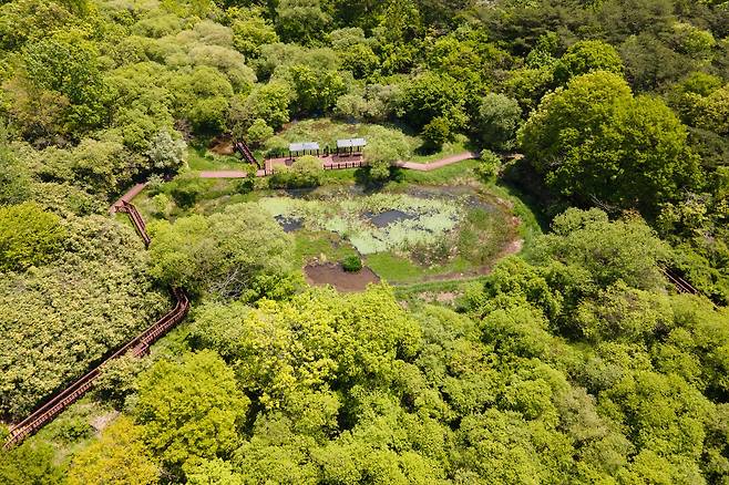 운곡습지 안에 있는 생태연못.