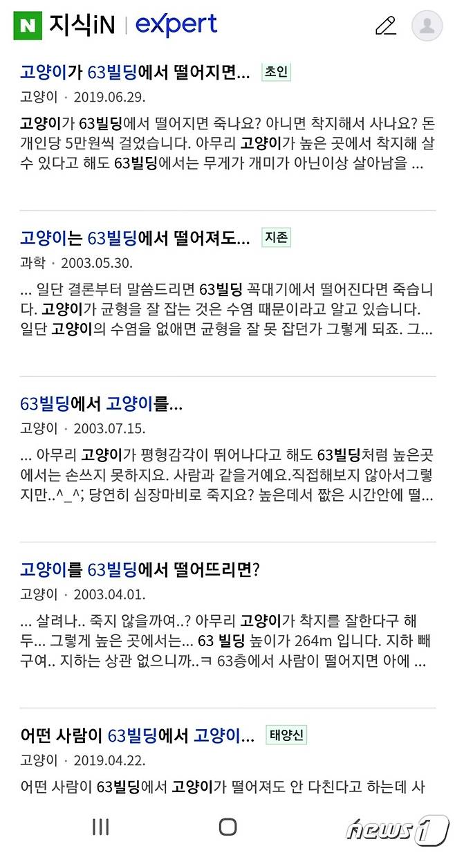 주요 포털사이트에 올라온 고양이 관련 질문. 63빌딩에서 떨어져도 사느냐는 질문이 꽤 있다.(포털사이트 갈무리) © 뉴스1