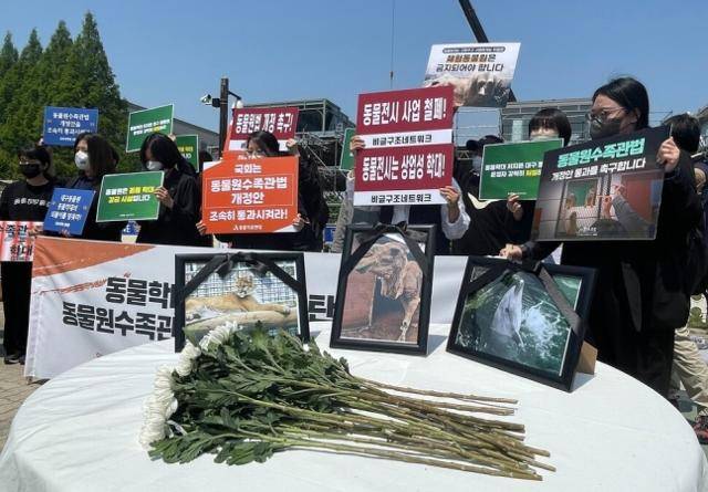 곰보금자리 프로젝트, 녹색당 동물권위원회, 동물권행동 카라, 동물복지문제연구소 어웨어, 동물자유연대, 동물해방물결, 비글구조네트워크 등 국내 7개 시민사회 단체는 이달 초 서울 여의도 국회의사당 앞에서 세상을 떠난 전시동물의 추모식을 열었다. 동물자유연대 제공