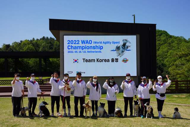 ▲ 최근 춘천 강아지숲 동산에서 ‘2022 WAO 챔피언쉽’ 출정식과 함께 공동훈련이 진행됐다. 사진/사단법인 동물과사람