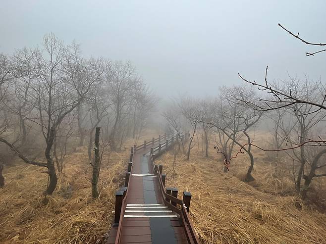조계산의 주봉인 장군봉과 연산봉을 잇는 능선 중간 해발 800m에 형성된 장박골 습지.