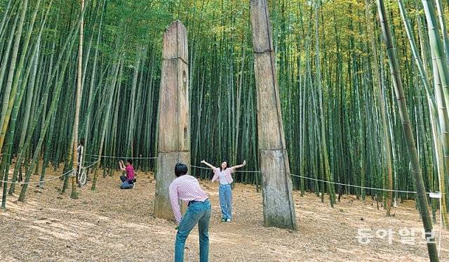 기장군 철마면 ‘아홉산 숲’의 대숲과 돌기둥.
