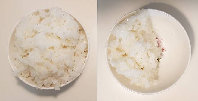 원래 평소 먹던 양(왼쪽)·절반으로 줄인 양.