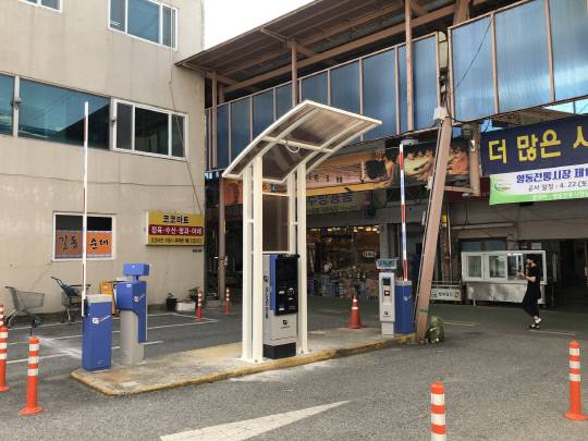 사진=영동군 제공