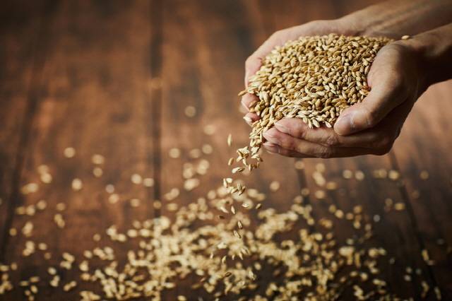 사진=게티이미지뱅크