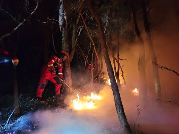 15일 새벽 경북 봉화군 봉성면에서 산불이 발생, 1시간 3분 만에 진화됐다. (산림청 제공) 2022.05.15