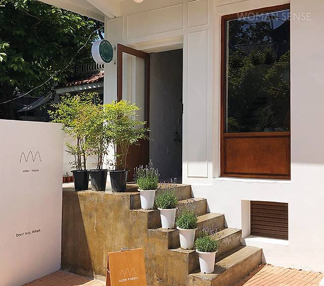 카페로 들어가는 입구부터 감성적인 슬로우포레스트.