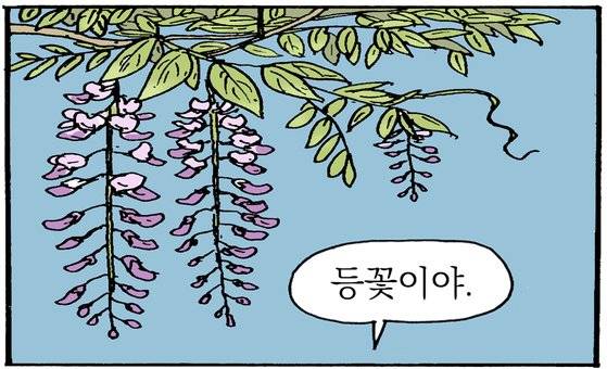 식물동네 이미지