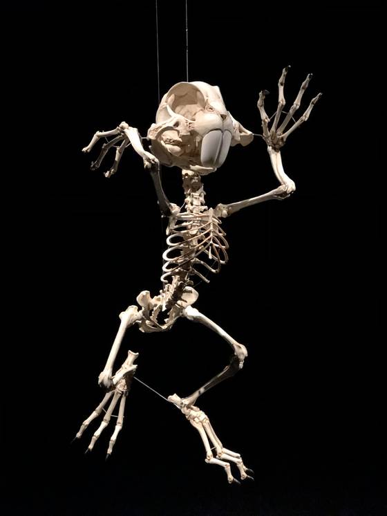 ″Lepus Animatus″ (2006) is the skeleton of Bugs Bunny. [SHIN MIN-HEE]