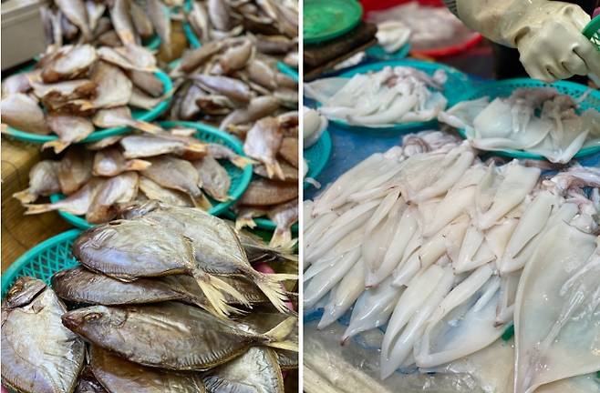 매일올레시장 어시장