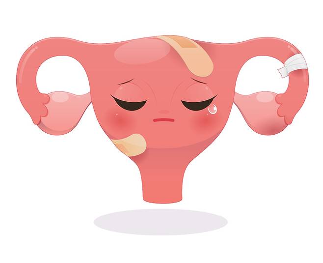 자궁경부암은 백신으로 예방이 가능한 암이기 때문에 반드시 백신을 접종해야 한다. 게티이미지뱅크