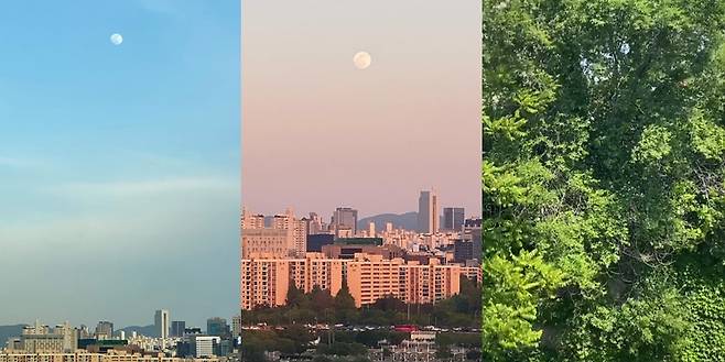 ▲ 출처| 태양 인스타그램