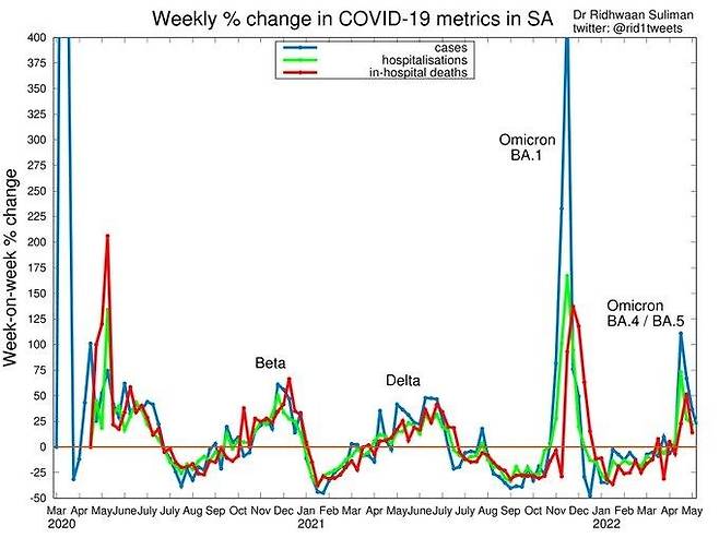남아공 주간 코로나19 메트릭스 % 변화(파랑:확진자, 연두:입원, 빨강:병원내 사망) [리드완 술리만 박사 트위터 캡처. 재판매 및 DB 금지]
