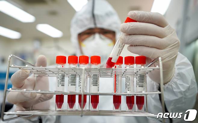 코로나19 검체를 검사하는 모습(제주도 제공)© 뉴스1