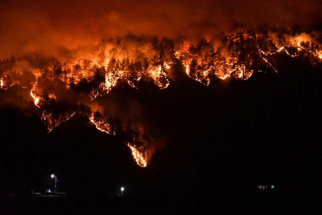 ▲ 지난달 동해안에서 발생한 산불이 삼척 원덕읍 산양2리 일대로 번지고 있는 모습.