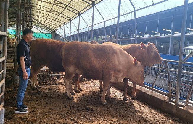 ⓒ서귀포축협 *재판매 및 DB 금지