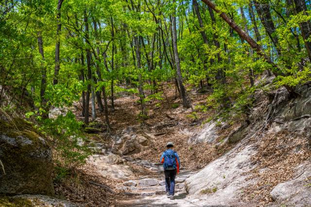 천축사 가는 길 녹음이 우거진 오르막 숲길을 따라 30~40분 걸어가야 한다./사진=서울관광재단