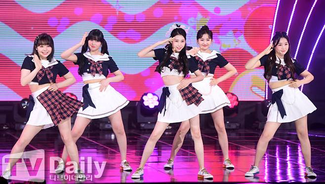 티브이데일리 포토