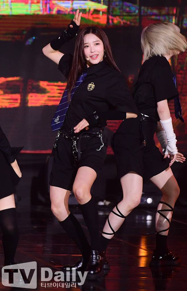 티브이데일리 포토