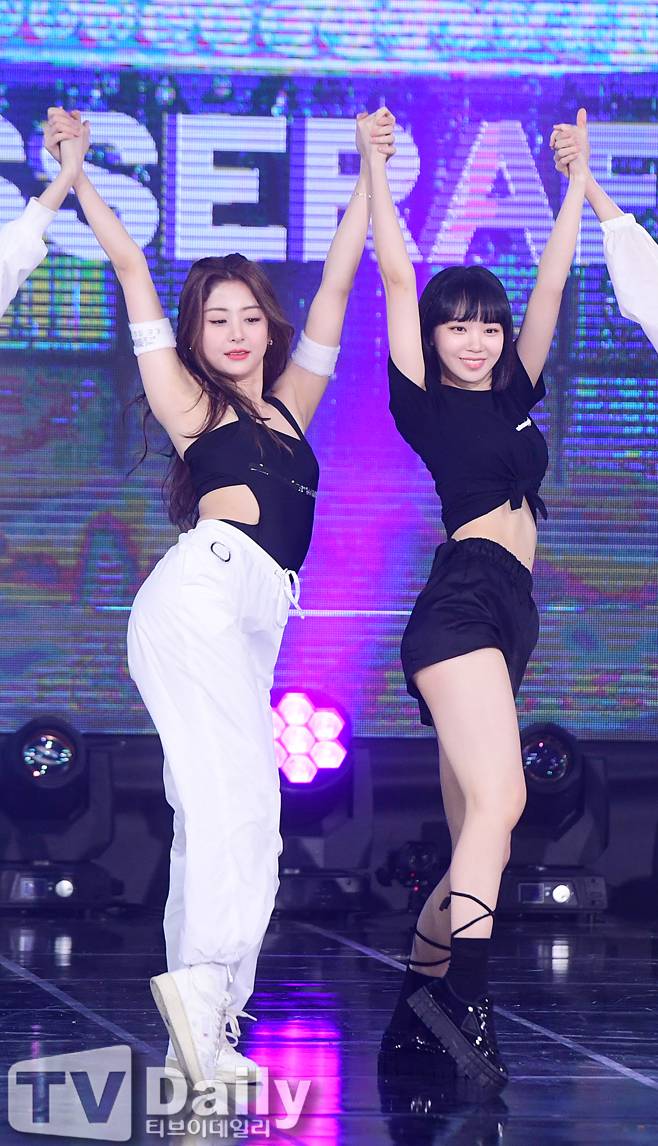 티브이데일리 포토