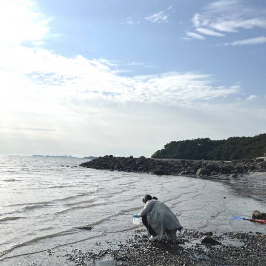 사진=서천군 제공