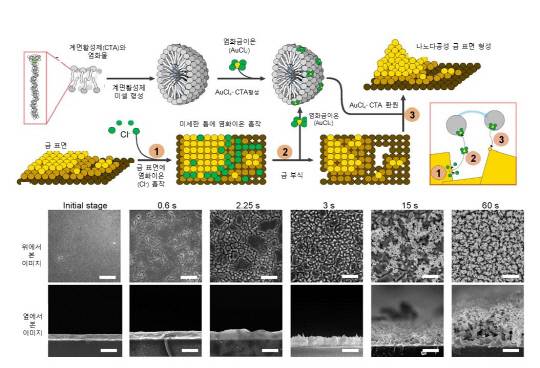 나노구조 및 나노다공성 금 표면을 생성하는 메커니즘. 사진=IBS 제공