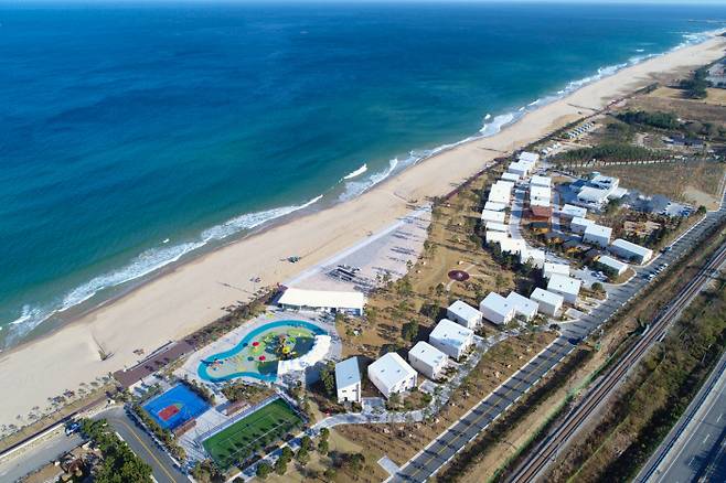 동해 망상오토캠핑리조트 전경. 동해시 제공