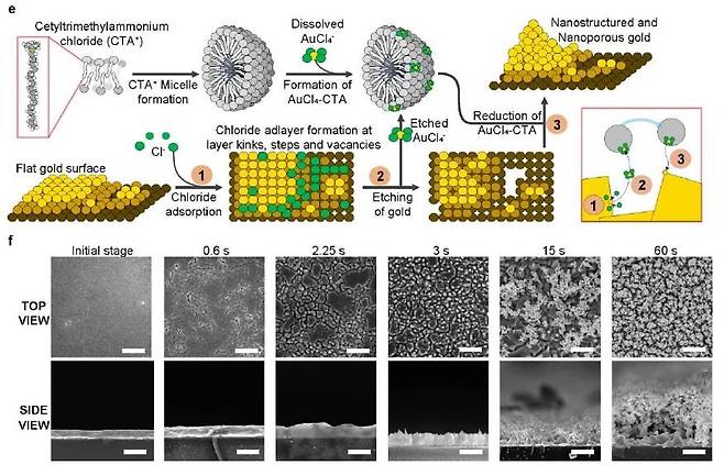 Illustration of how porous gold nanostructure is made (Institute for Basic Science)