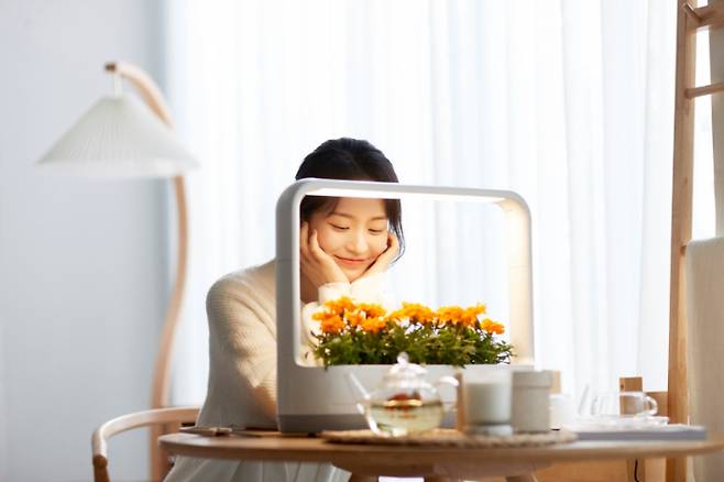 LG전자 모델이 LG 틔운 미니에서 자라고 있는 꽃을 감상하고 있다.  LG전자 제공